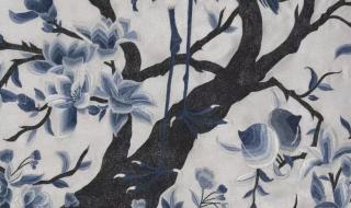 福无十全是什么动物 福无十全是什么动物