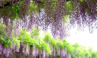 七月半冥包怎么写图片 七月半冥包怎么写图片