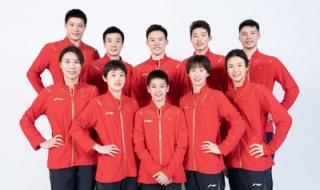 中国著名跳水运动员 中国著名跳水运动员